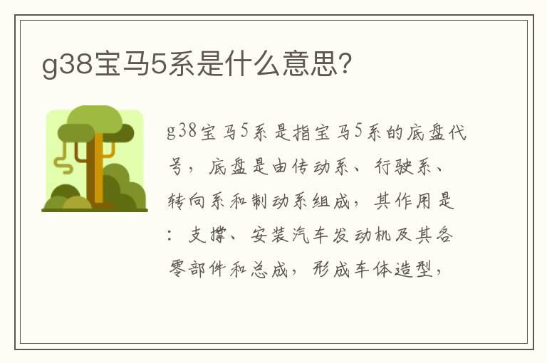g38宝马5系是什么意思？
