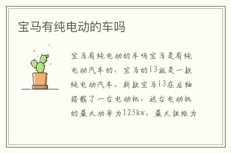 宝马有纯电动的车吗