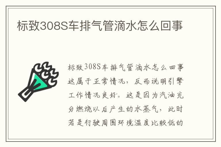 标致308S车排气管滴水怎么回事