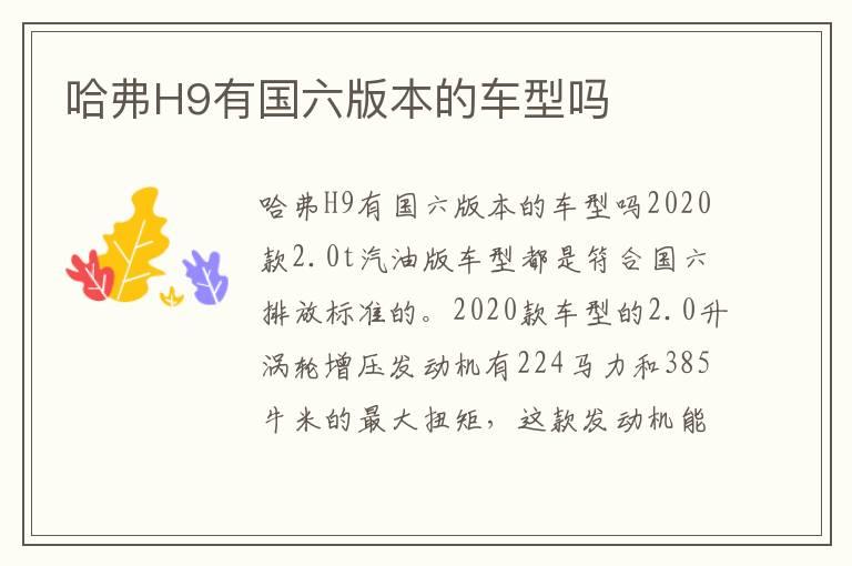 哈弗H9有国六版本的车型吗