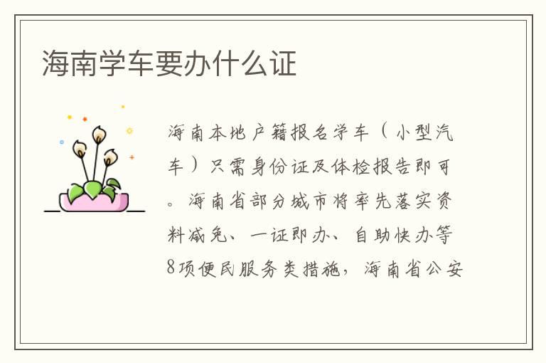 海南学车要办什么证