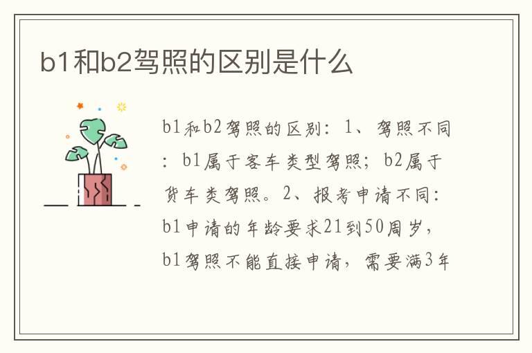 b1和b2驾照的区别是什么