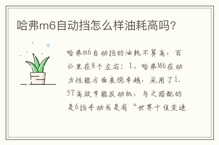 哈弗m6自动挡怎么样油耗高吗?
