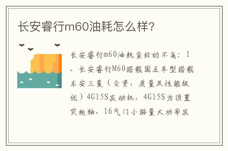 长安睿行m60油耗怎么样?