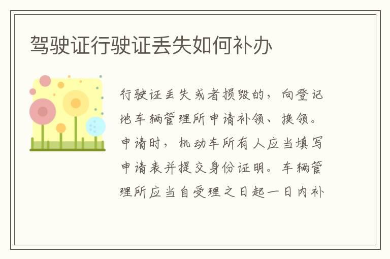 驾驶证行驶证丢失如何补办