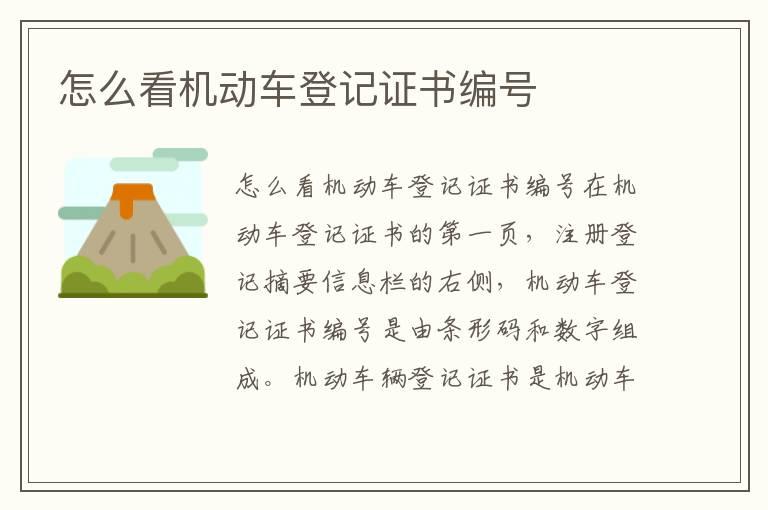 怎么看机动车登记证书编号