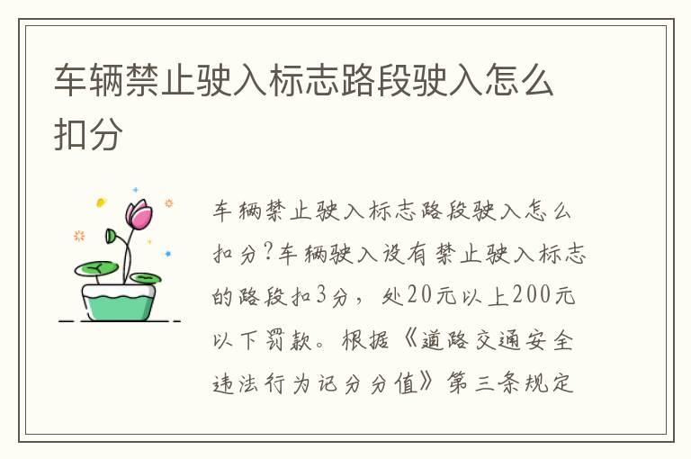 车辆禁止驶入标志路段驶入怎么扣分
