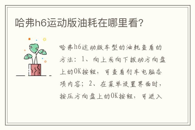 哈弗h6运动版油耗在哪里看?
