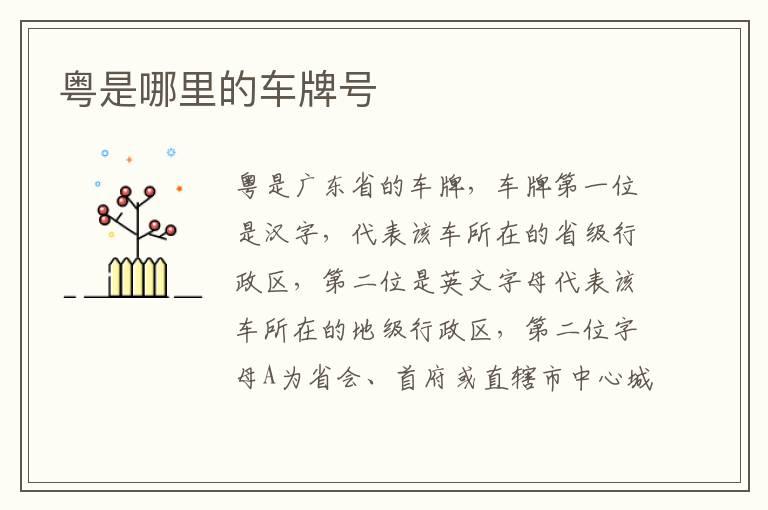 粤是哪里的车牌号