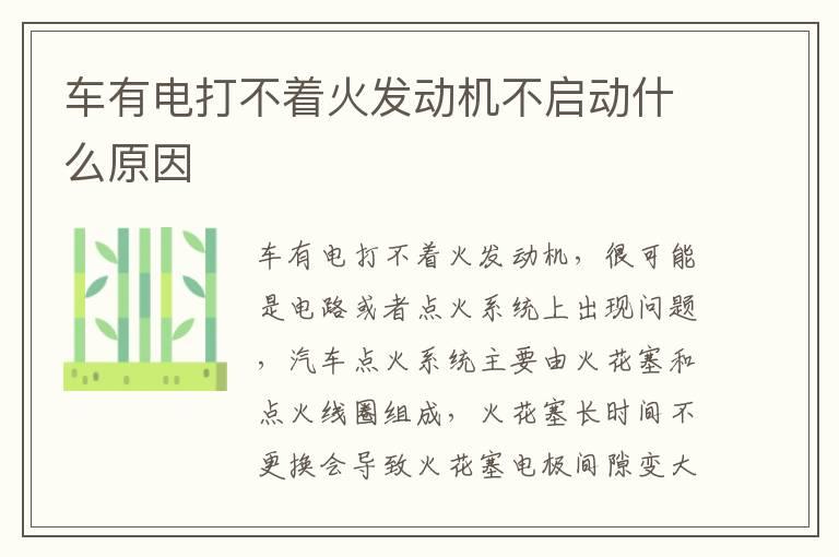 车有电打不着火发动机不启动什么原因