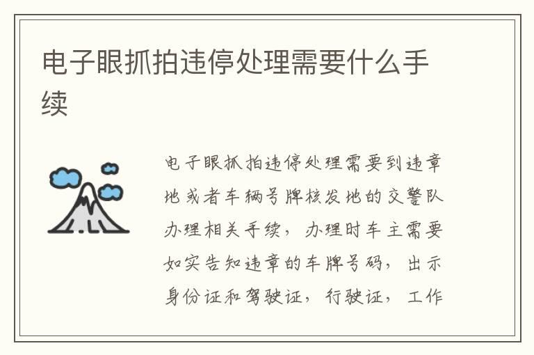 电子眼抓拍违停处理需要什么手续