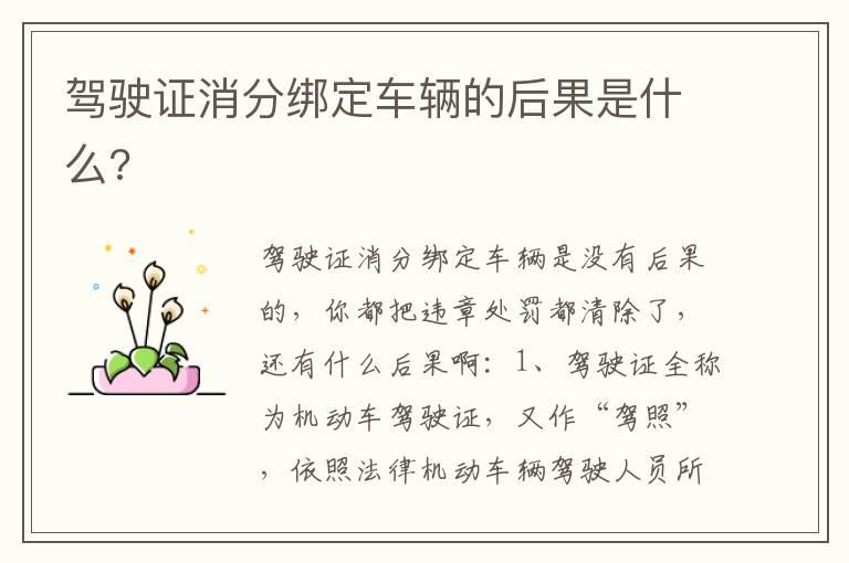 驾驶证消分绑定车辆的后果是什么?
