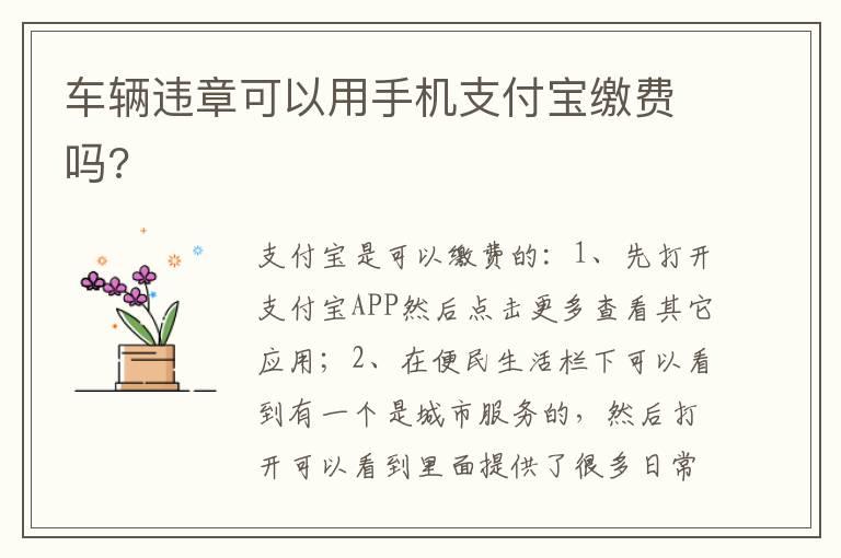 车辆违章可以用手机支付宝缴费吗?