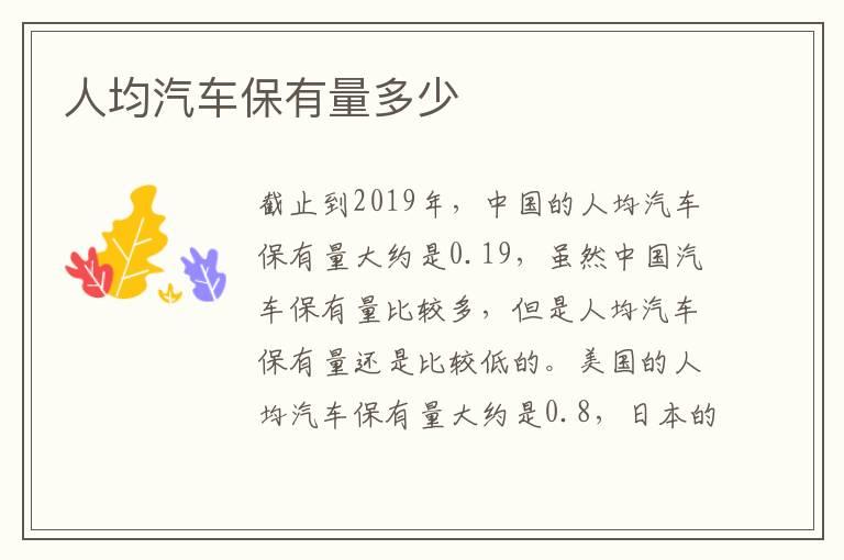 人均汽车保有量多少