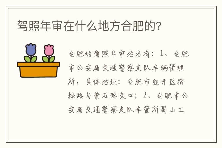 驾照年审在什么地方合肥的?