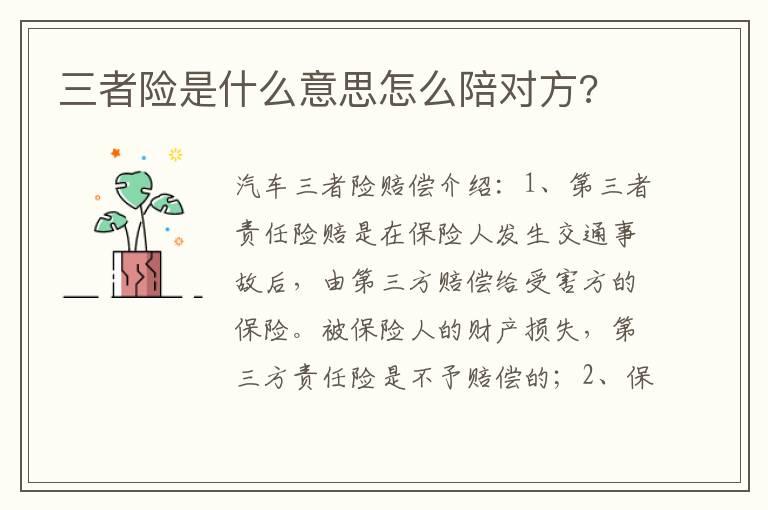 三者险是什么意思怎么陪对方?