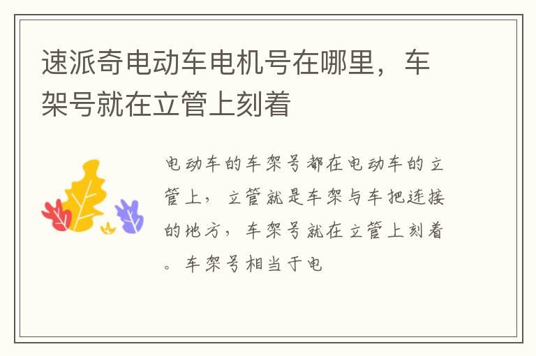 速派奇电动车电机号在哪里，车架号就在立管上刻着