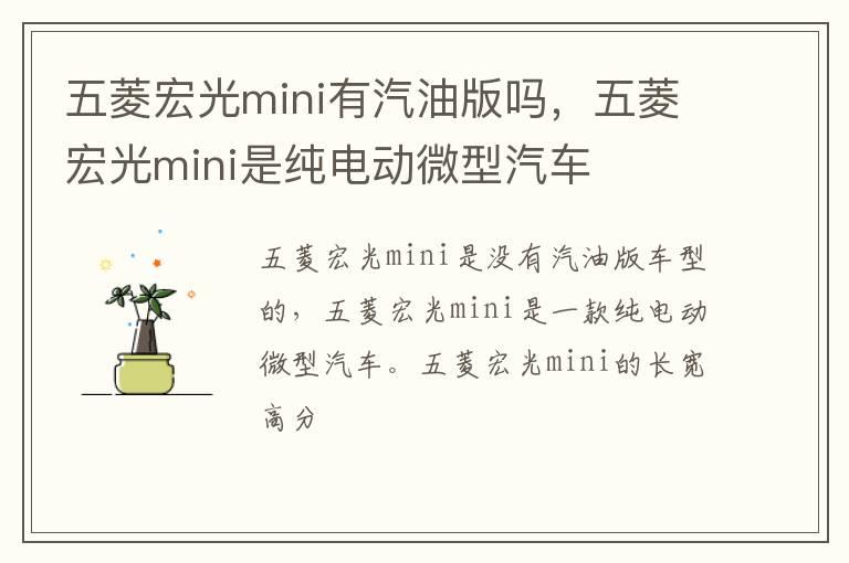 五菱宏光mini有汽油版吗，五菱宏光mini是纯电动微型汽车