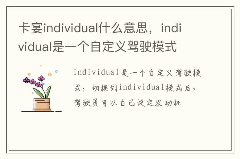 卡宴individual什么意思，individual是一个自定义驾驶模式