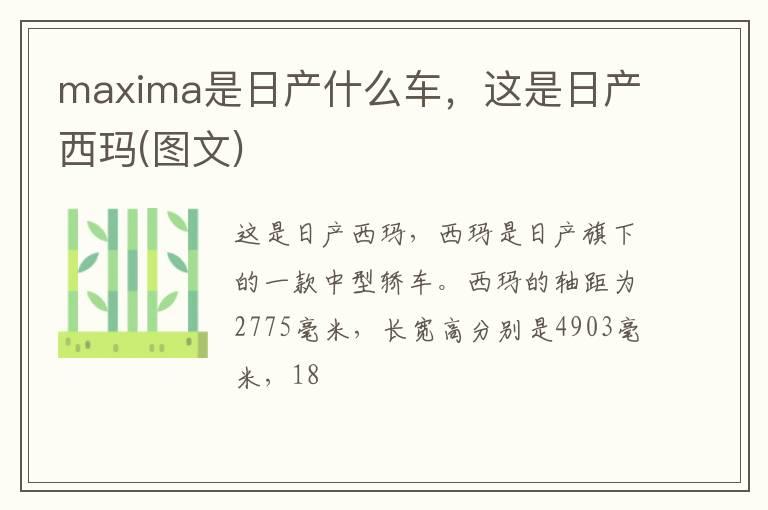 maxima是日产什么车，这是日产西玛(图文)