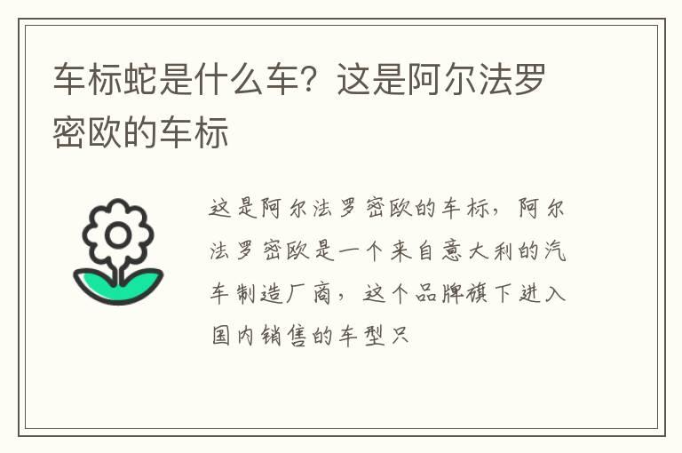 车标蛇是什么车？这是阿尔法罗密欧的车标