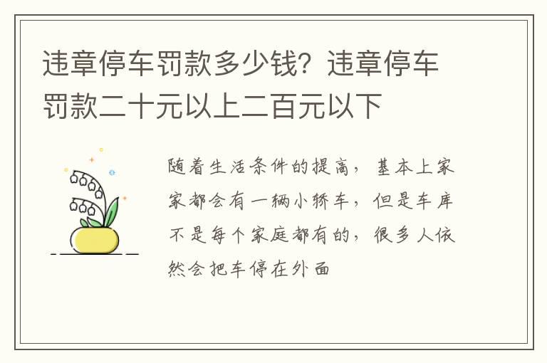 违章停车罚款多少钱？违章停车罚款二十元以上二百元以下
