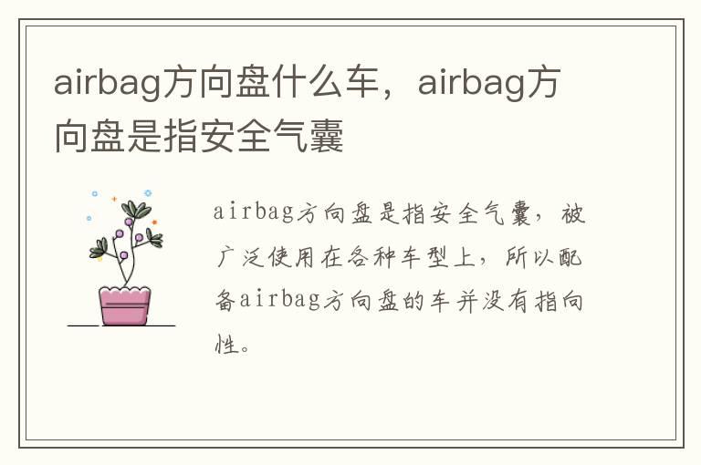 airbag方向盘什么车，airbag方向盘是指安全气囊