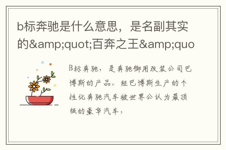 b标奔驰是什么意思，是名副其实的&quot;百奔之王&quot;