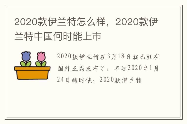 2020款伊兰特怎么样，2020款伊兰特中国何时能上市