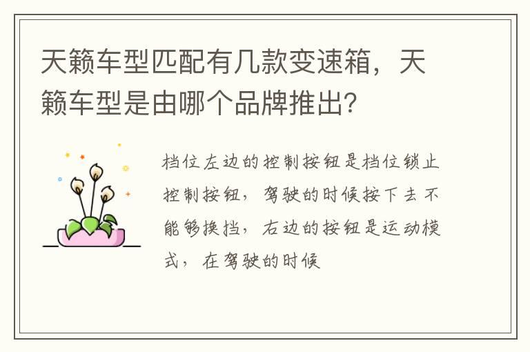 天籁车型匹配有几款变速箱，天籁车型是由哪个品牌推出？
