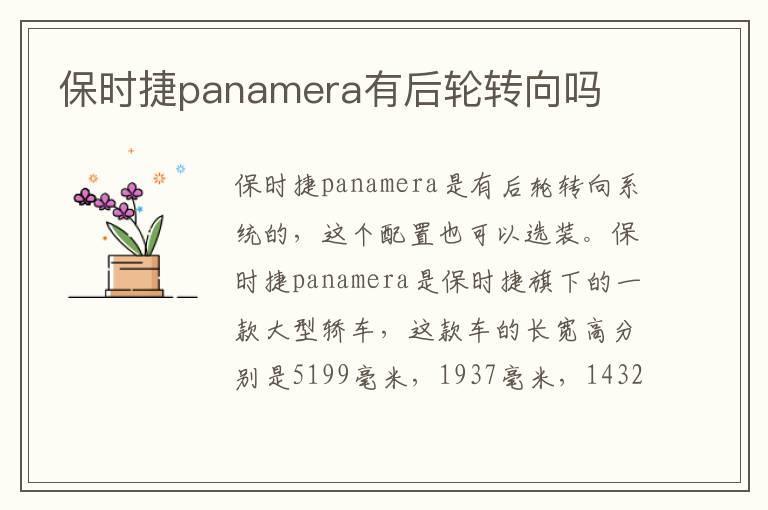 保时捷panamera有后轮转向吗