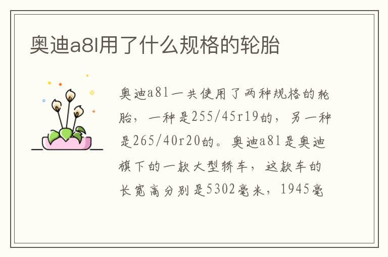 奥迪a8l用了什么规格的轮胎
