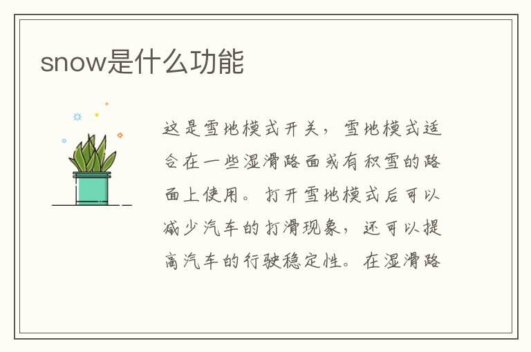 snow是什么功能