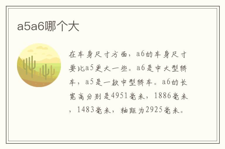 a5a6哪个大