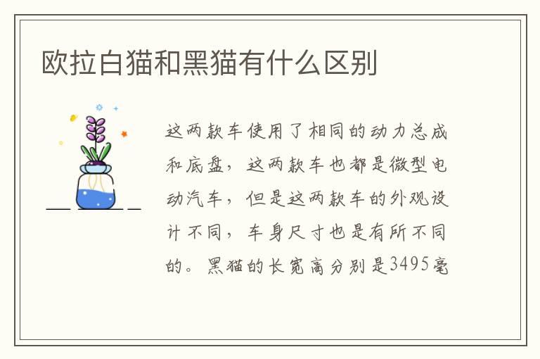 欧拉白猫和黑猫有什么区别