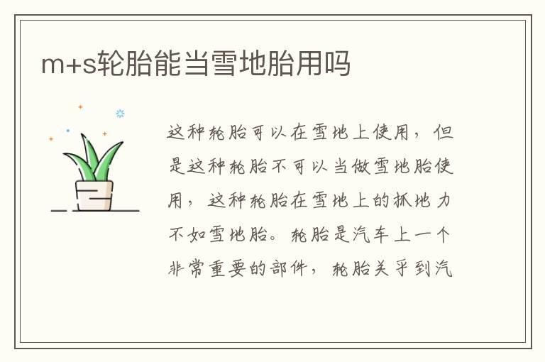 m+s轮胎能当雪地胎用吗