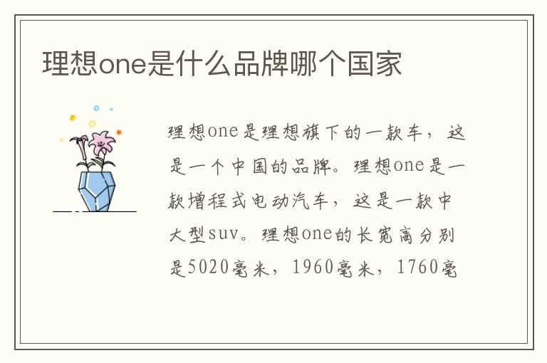 理想one是什么品牌哪个国家