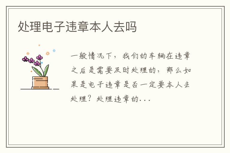 处理电子违章本人去吗