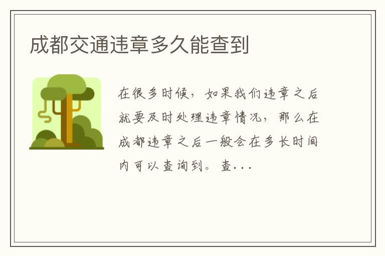 成都交通违章多久能查到