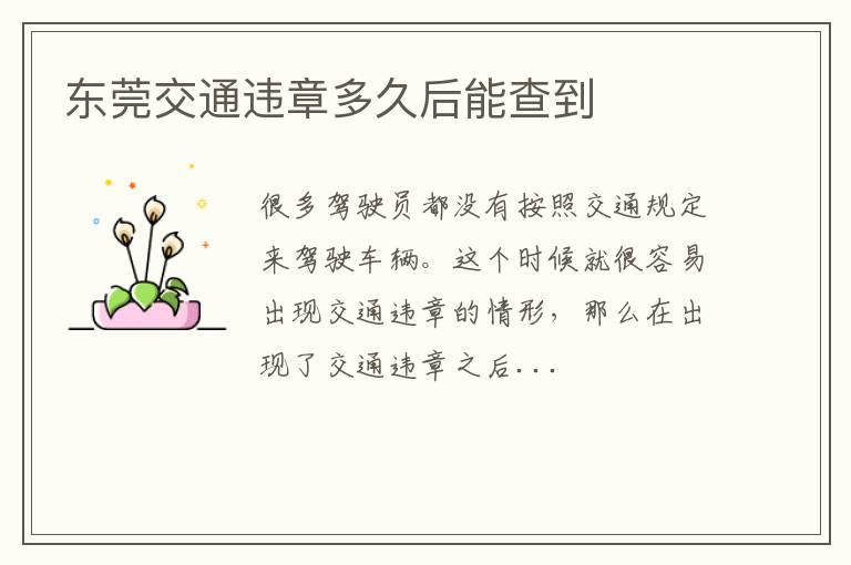 东莞交通违章多久后能查到