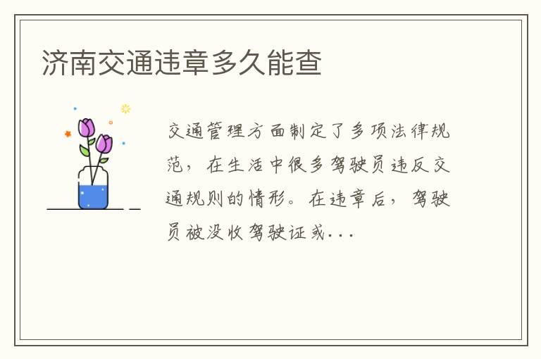 济南交通违章多久能查