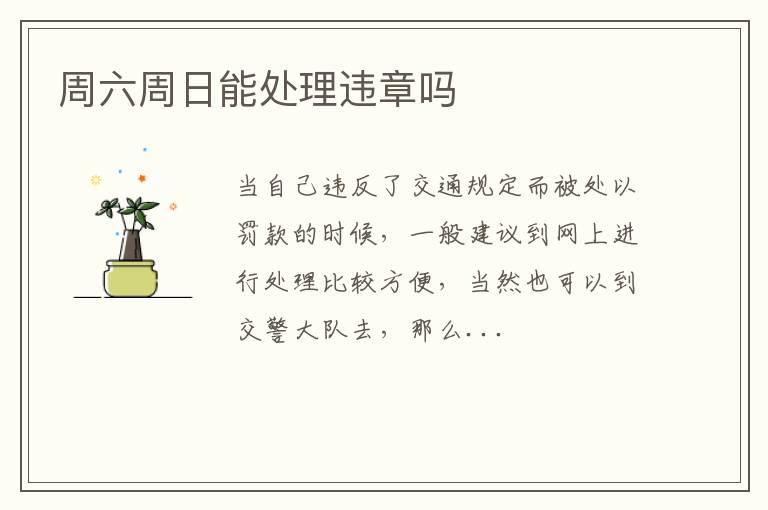 周六周日能处理违章吗