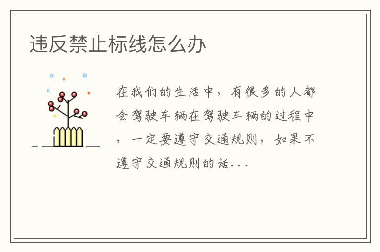 违反禁止标线怎么办