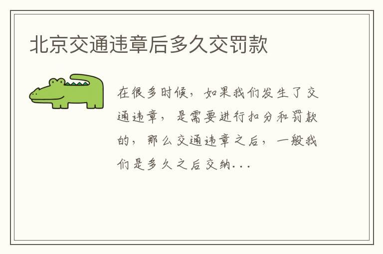 北京交通违章后多久交罚款