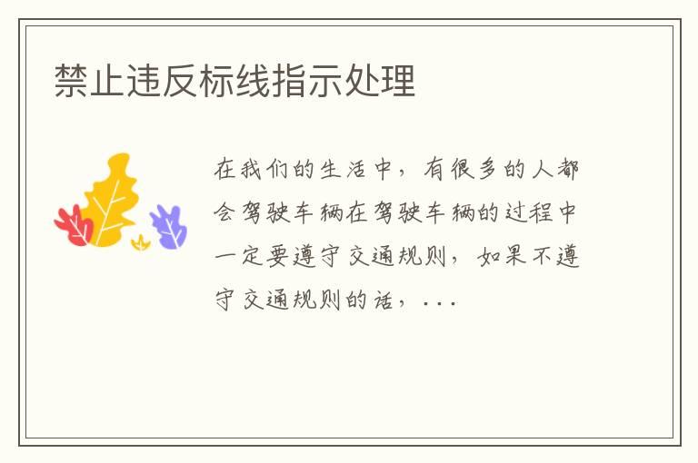 禁止违反标线指示处理