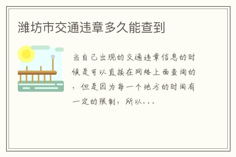 潍坊市交通违章多久能查到