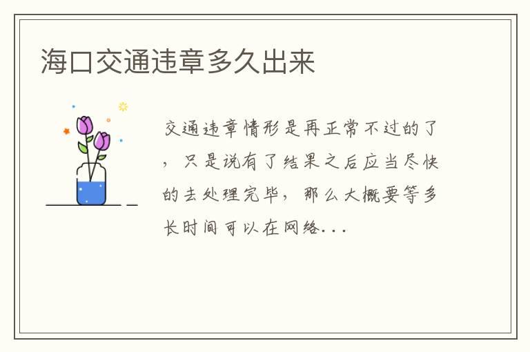 海口交通违章多久出来