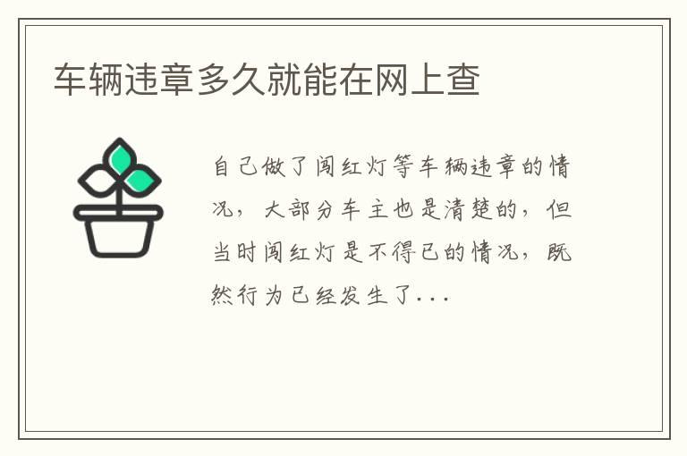 车辆违章多久就能在网上查