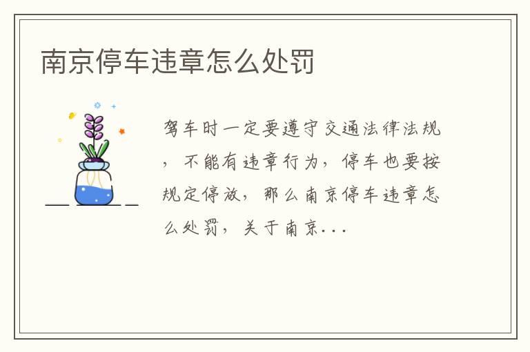 南京停车违章怎么处罚