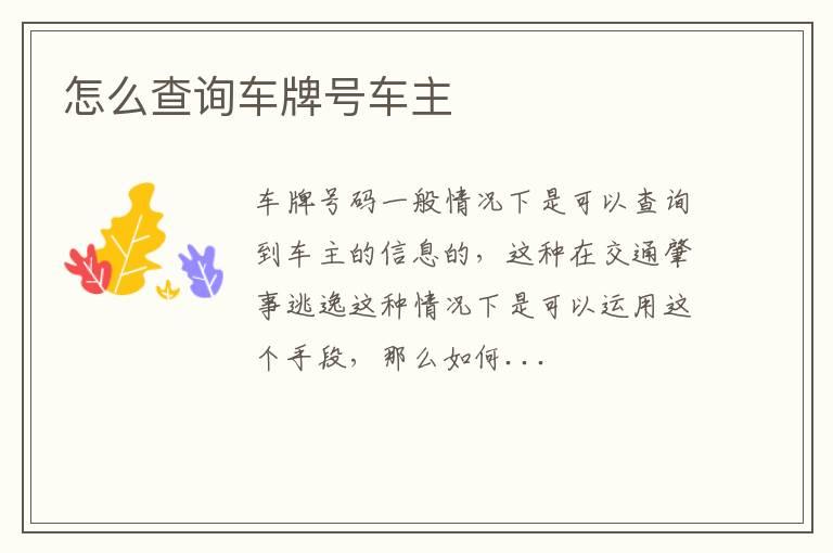 怎么查询车牌号车主